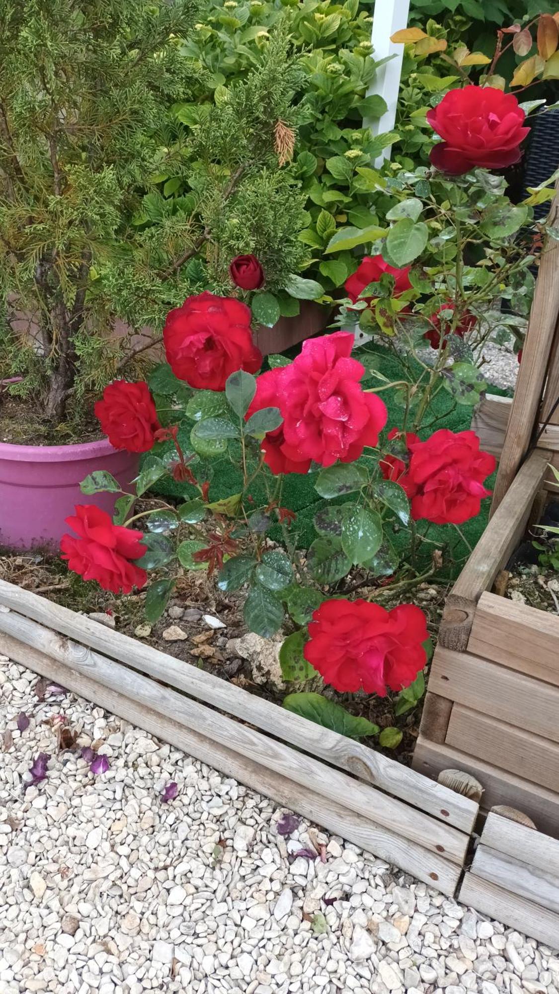 بونس Le Clos Des Passiflores المظهر الخارجي الصورة